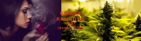 сатива Слюдянка