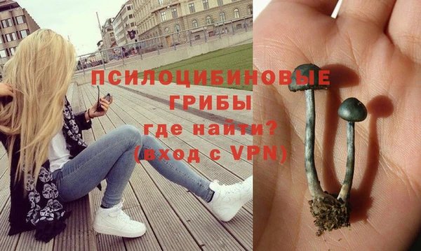 винт Белоозёрский