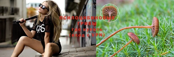 сатива Слюдянка
